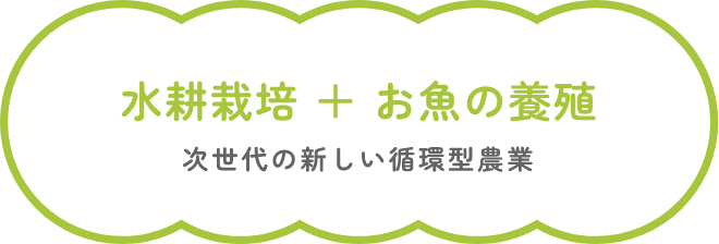 水耕栽培＋お魚の養殖、次世代の新しい循環型農業