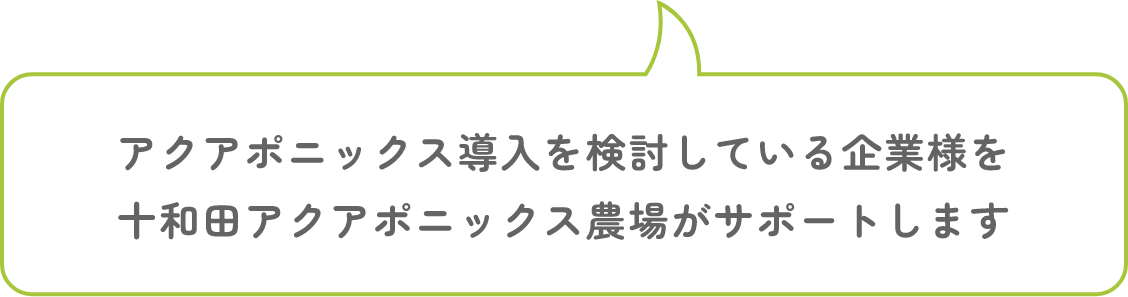 アクアポニックス導入を検討している企業様を十和田アクアポニックス農場がサポートします