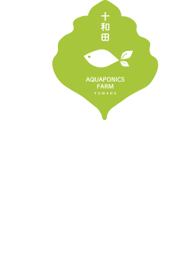 アクアポニックスに必要な設備のご提案から、高品質な施工、その後の事業運営までトータルにサポート。